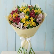 Букет цветов из:  Альстромерии в Базарный Карабулак